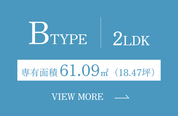 B TYPE